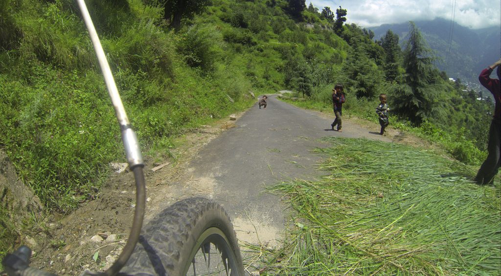 DCIM136GOPRO