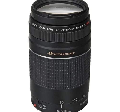 Telephoto Zoom Lens