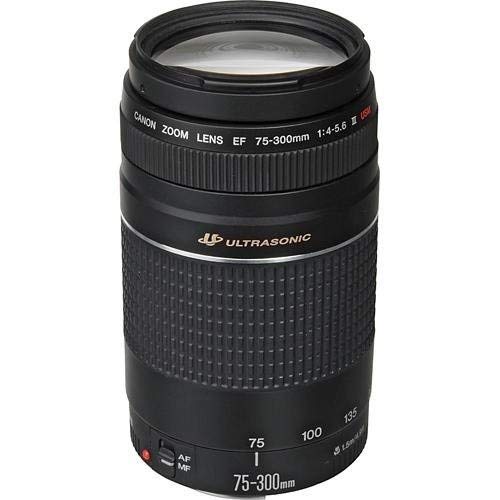 Telephoto Zoom Lens