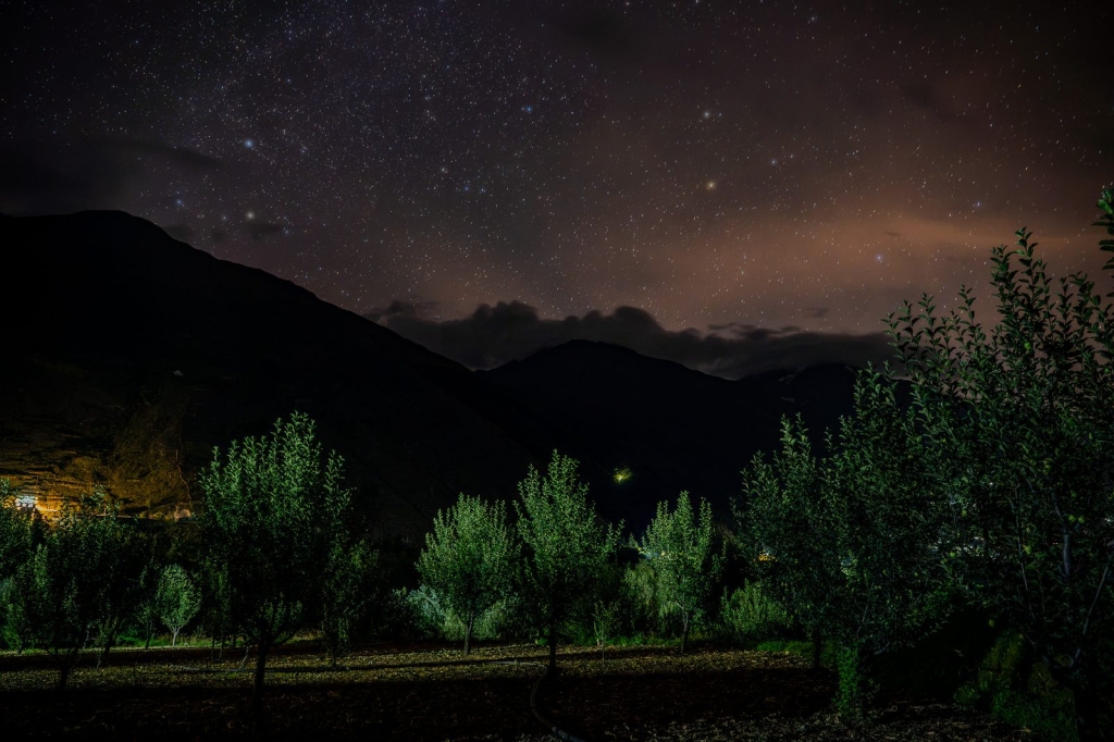 Star-filled night sky over dark Himalayan mountains and a moonlit orchard
